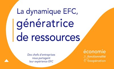 ECONOMIE DE LA FONCTIONNALITE