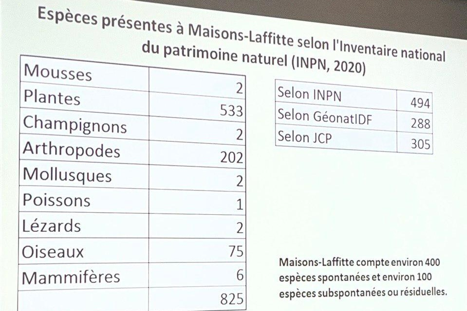 Conférence MLDD