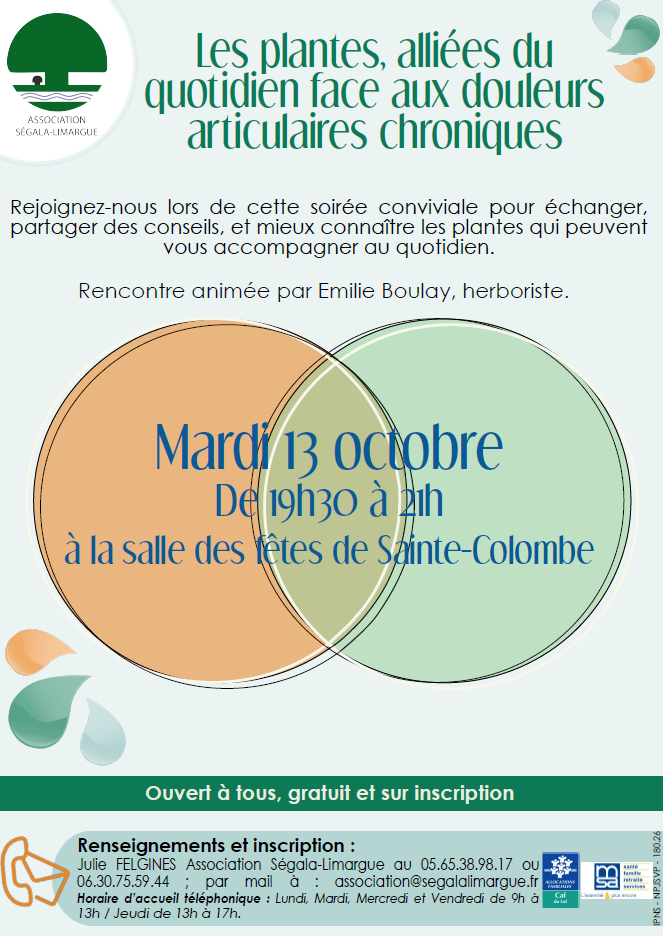 Les plantes, alliées du quotidien face aux douleurs articulaires chroniques